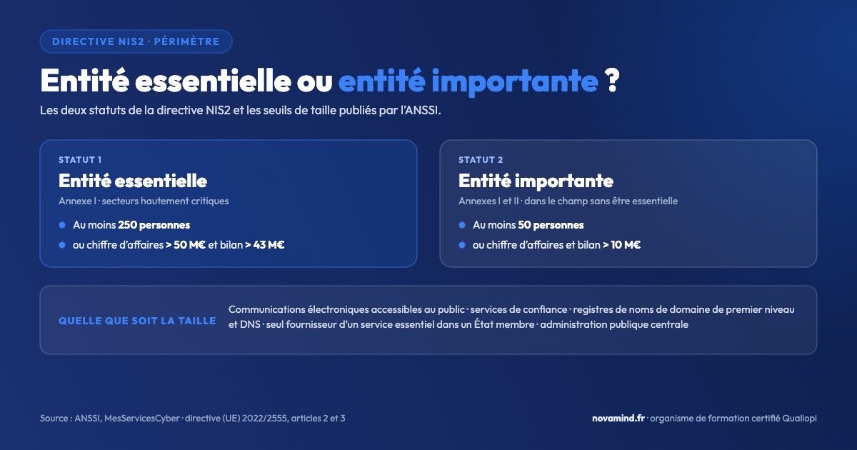 Directive NIS2 : les seuils qui séparent une entité essentielle d’une entité importante